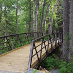 Beauvais Lake Provincial Park trail bridge
