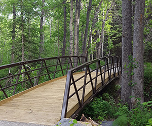Beauvais Lake Provincial Park trail bridge